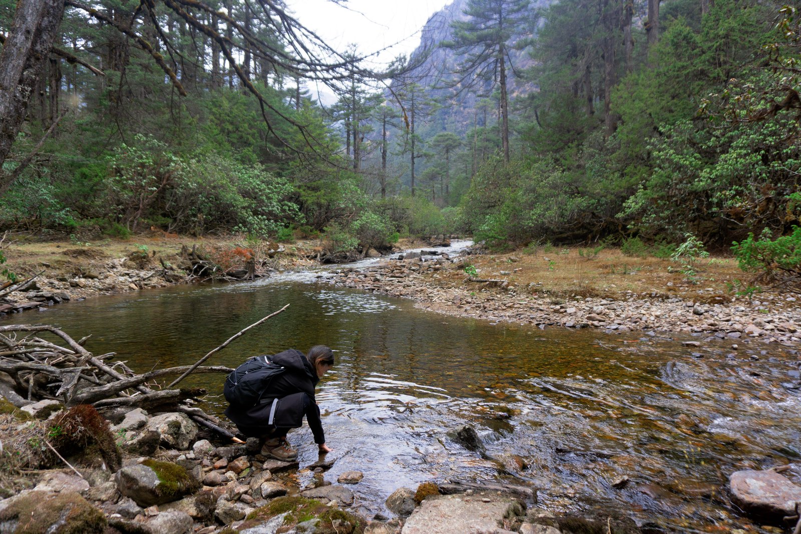 Resting by an alpine stream