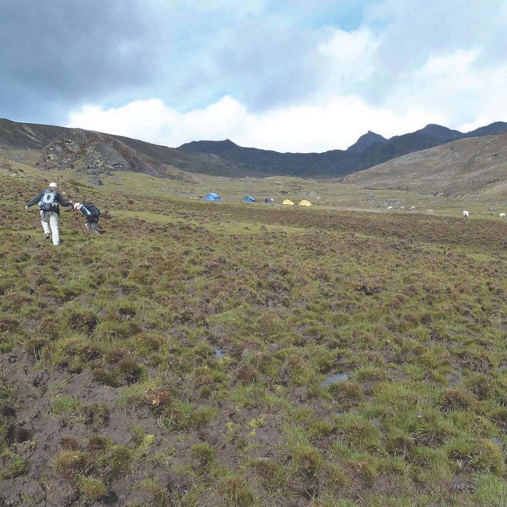 Trekking the Paro Chu river valley